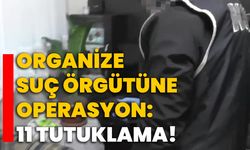 Organize suç örgütüne operasyon: 11 tutuklama!