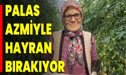 Palas Azmiyle Hayran Bırakıyor