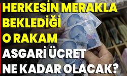 Herkesin Merakla Beklediği O Rakam Asgari Ücret Ne Kadar Olacak?