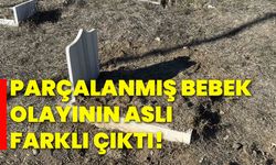 Parçalanmış bebek olayının aslı farklı çıktı!