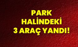 Park halindeki 3 araç yandı!