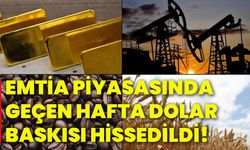 Emtia piyasasında geçen hafta dolar baskısı hissedildi!