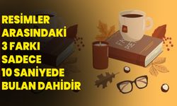 Resimler arasındaki 3 farkı sadece 10 saniyede bulan dahidir