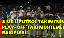 A Milli Futbol Takımı'nın play-off'taki muhtemel rakipleri!