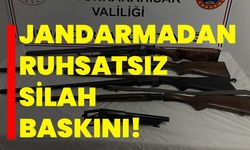 Jandarmadan ruhsatsız silah baskını!