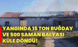 Yangında 15 ton buğday ve 500 saman balyası küle döndü!