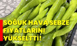 Soğuk hava sebze fiyatlarını yükseltti!