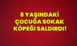 8 yaşındaki çocuğa sokak köpeği saldırdı!