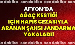 Afyon’da ağaç kestiği için hapis cezasıyla aranan şahsı jandarma yakaladı!