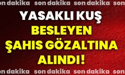 Yasaklı kuş besleyen şahıs gözaltına alındı!