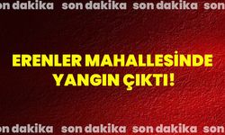 Erenler Mahallesi’nde Yangın Çıktı!