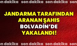 Jandarma tarafından aranan şahıs Bolvadin’de yakalandı!