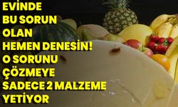 Evinde Bu Sorun Olan Hemen Denesin! O Sorunu Çözmeye Sadece 2 Malzeme Yetiyor