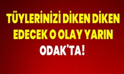 Tüylerinizi diken diken edecek o olay yarın ODAK'ta!