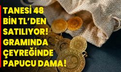 Tanesi 48 Bin TL’den Satılıyor! Gramında Çeyreğinde Papucu Dama!