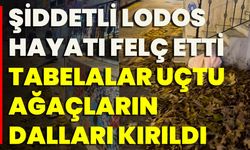 Şiddetli Lodos Hayatı Felç Etti: Tabelalar Uçtu, Ağaçların Dalları Kırıldı