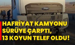 Hafriyat kamyonu sürüye çarptı, 13 koyun telef oldu!