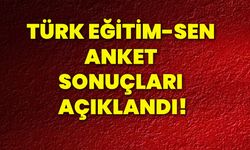 Türk Eğitim-Sen anket sonuçları açıklandı!