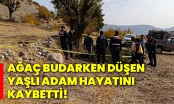 Ağaç budarken düşen yaşlı adam hayatını kaybetti!