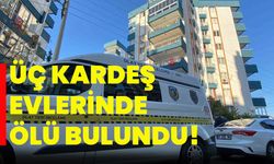 Üç kardeş evlerinde ölü bulundu!