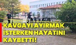 Kavgayı ayırmak isterken hayatını kaybetti!