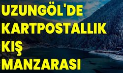 Uzungöl'de Kartpostallık Kış Manzarası