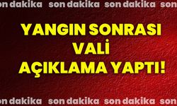 Yangın sonrası vali açıklama yaptı!