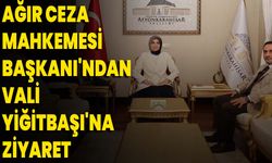 Ağır Ceza Mahkemesi Başkanı'ndan Vali Yiğitbaşı'na Ziyaret