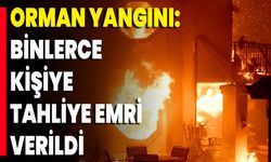 Orman Yangını: Binlerce Kişiye Tahliye Emri Verildi