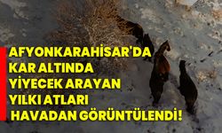 Afyonkarahisar'da kar altında yiyecek arayan yılkı atları havadan görüntülendi!