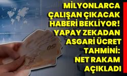 Milyonlarca Çalışan Çıkacak Haberi Bekliyor! Yapay Zekadan Asgari Ücret Tahmini: Net Rakam Açıkladı