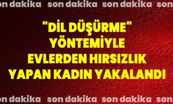 Dil Düşürme" Yöntemiyle Evlerden Hırsızlık Yapan Kadın Yakalandı