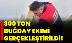 300 ton buğday ekimi gerçekleştirildi!