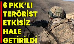 6 PKK’lı Terörist Etkisiz Hale Getirildi