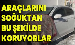 Araçlarını Soğuktan Bu Şekilde Koruyorlar