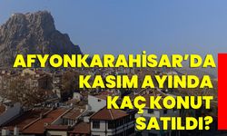 Afyonkarahisar’da kasım ayında kaç konut satıldı?