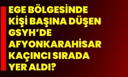 Ege Bölgesinde kişi başına düşen GSYH’de Afyonkarahisar kaçıncı sırada yer aldı?