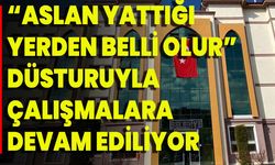 “Aslan Yattığı Yerden Belli Olur” Düsturuyla Çalışmalara Devam Ediliyor