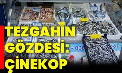 Tezgahın gözdesi: Çinekop