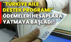 "Türkiye Aile Destek Programı" ödemeleri hesaplara yatmaya başladı!