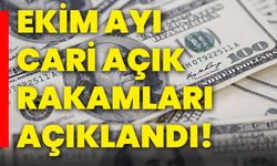 Ekim ayı cari açık rakamları açıklandı!