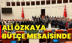 Ali Özkaya bütçe mesaisinde!