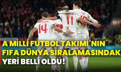 A Milli Futbol Takımı'nın FIFA dünya sıralamasındaki yeri belli oldu!