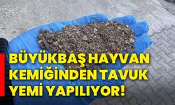 Büyükbaş hayvan kemiğinden tavuk yemi yapılıyor!