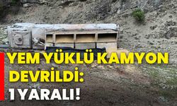 Yem yüklü kamyon devrildi: 1 yaralı!