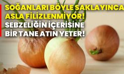 Soğanları böyle saklayınca asla filizlenmiyor! Sebzeliğin içerisine bir tane atın yeter!