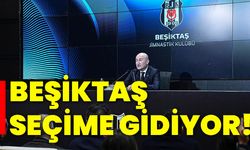 Beşiktaş seçime gidiyor!