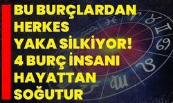 Bu Burçlardan Herkes Yaka Silkiyor! 4 Burç İnsanı Hayattan Soğutur