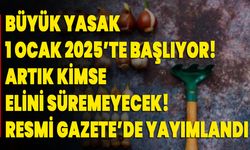 Büyük yasak 1 Ocak 2025’te başlıyor! Artık kimse elini süremeyecek! Resmi Gazete’de yayımlandı