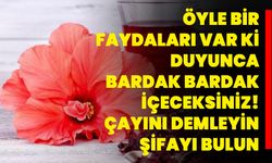 Öyle bir faydaları var ki duyunca bardak bardak içeceksiniz! Çayını demleyin şifayı bulun